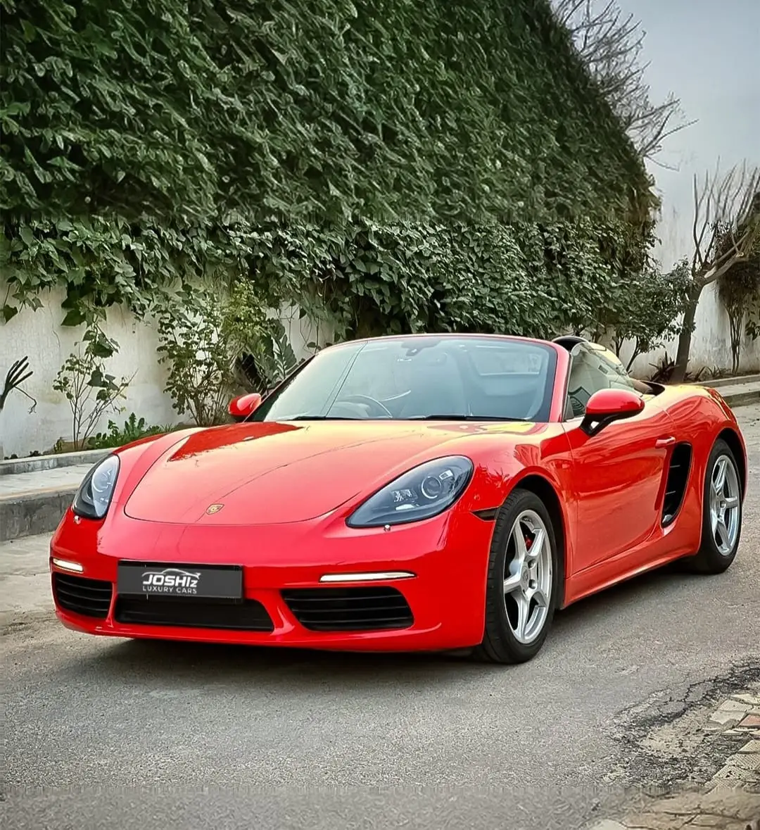 Car Rental